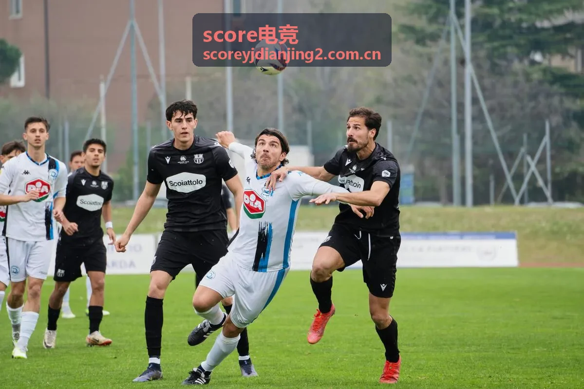 score电竞王者荣耀数据